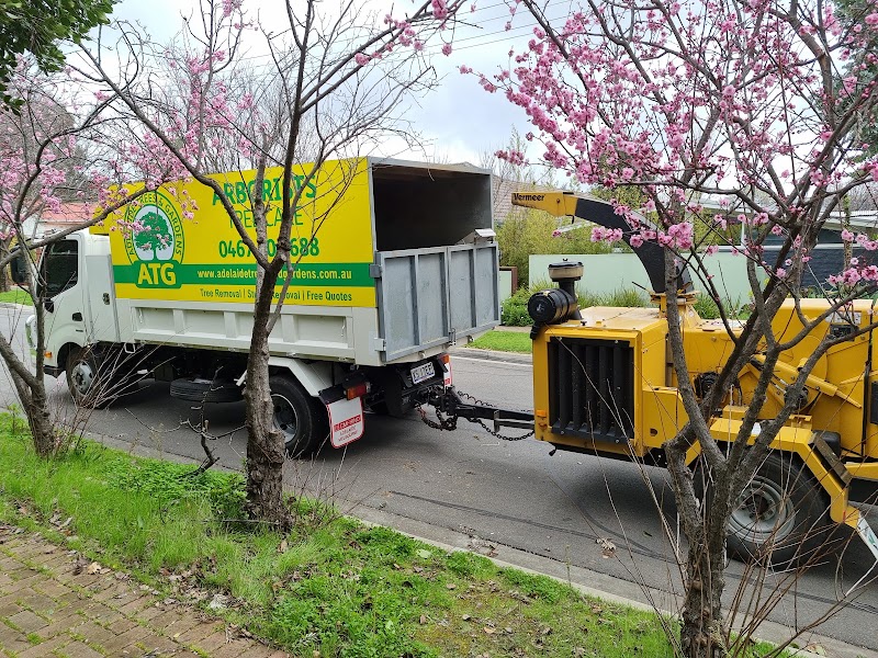 Adelaide Trees and Gardens tree services work in Clarence Gardens
