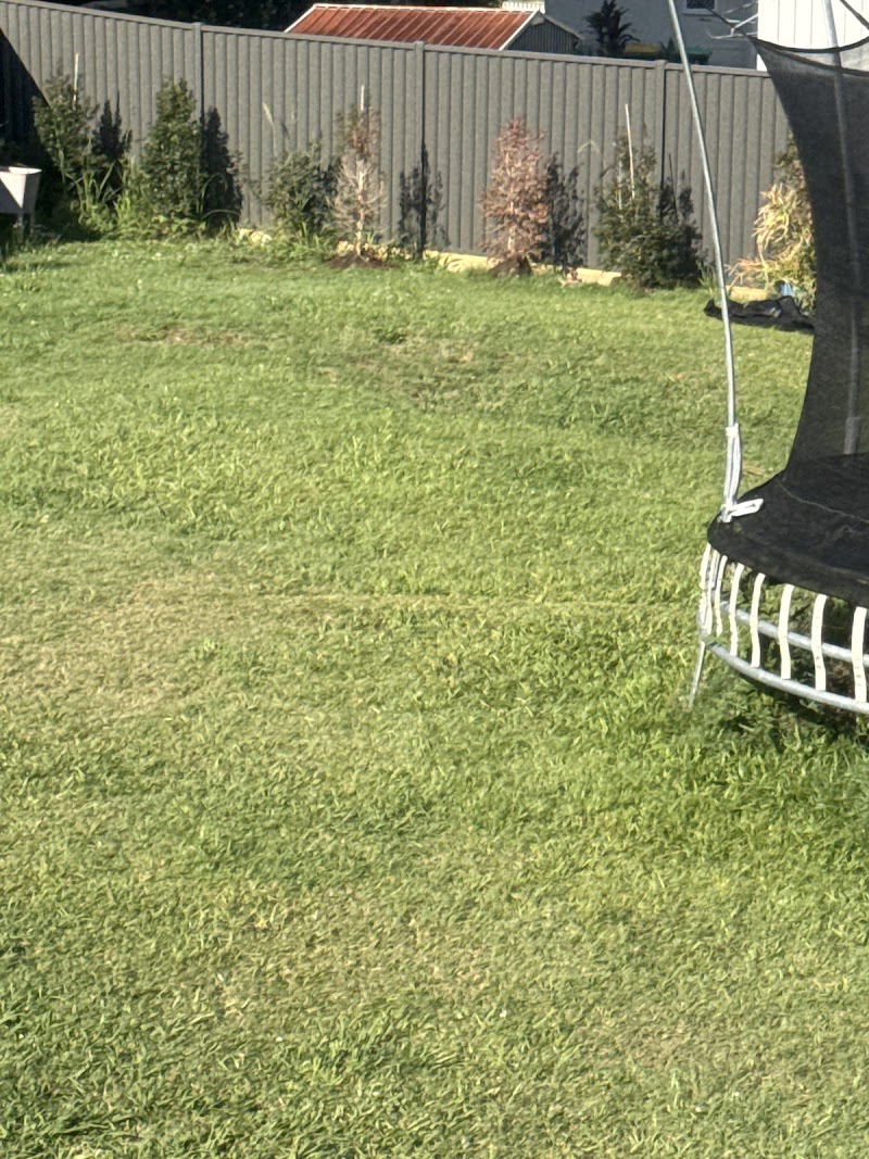 Affordable fencing goldcoast fencing work in Upper Coomera