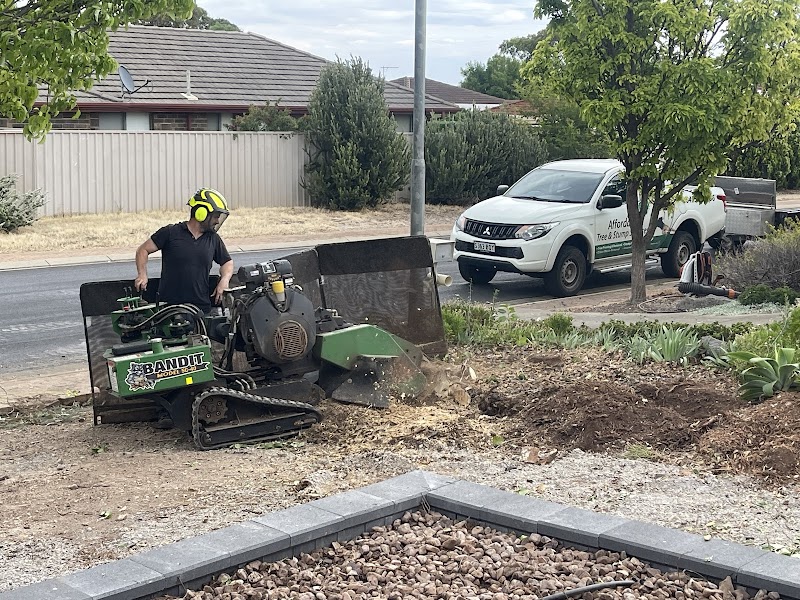 Affordable Tree & Stump Services tree services work in Noarlunga Downs