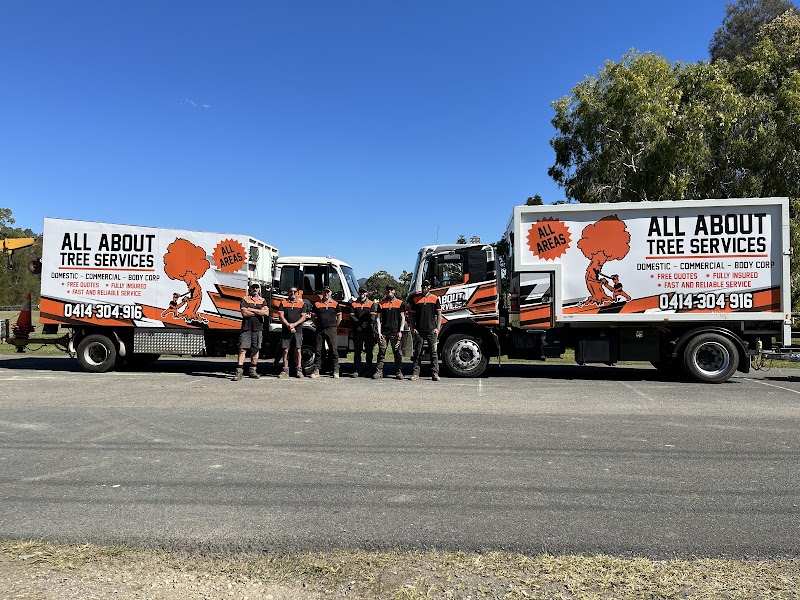 All About Tree Services QLD tree services work in Elanora