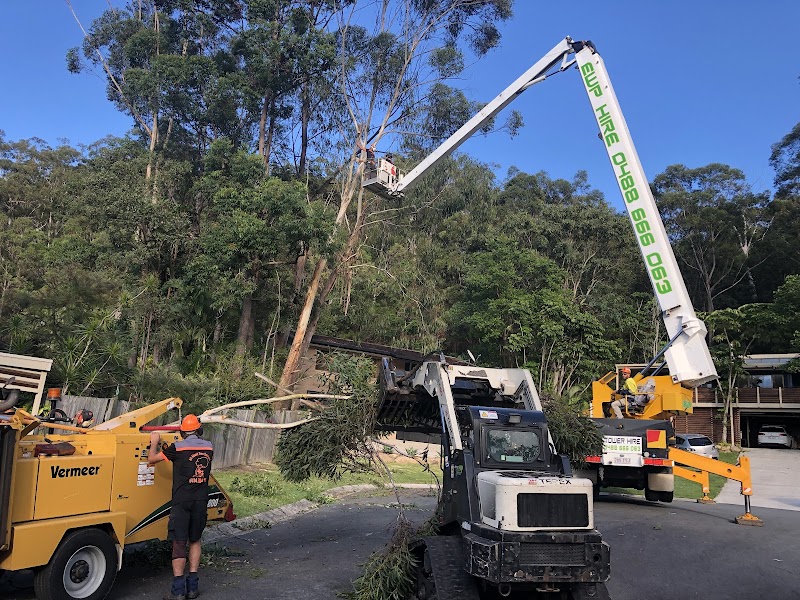 All About Tree Services QLD tree services work in Elanora