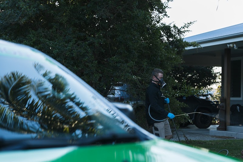 All Pest Solutions Gold Coast pest control work in Molendinar
