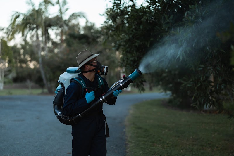 All Pest Solutions Gold Coast pest control work in Molendinar