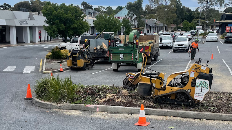 All Purpose Tree Services tree services work in Ottoway