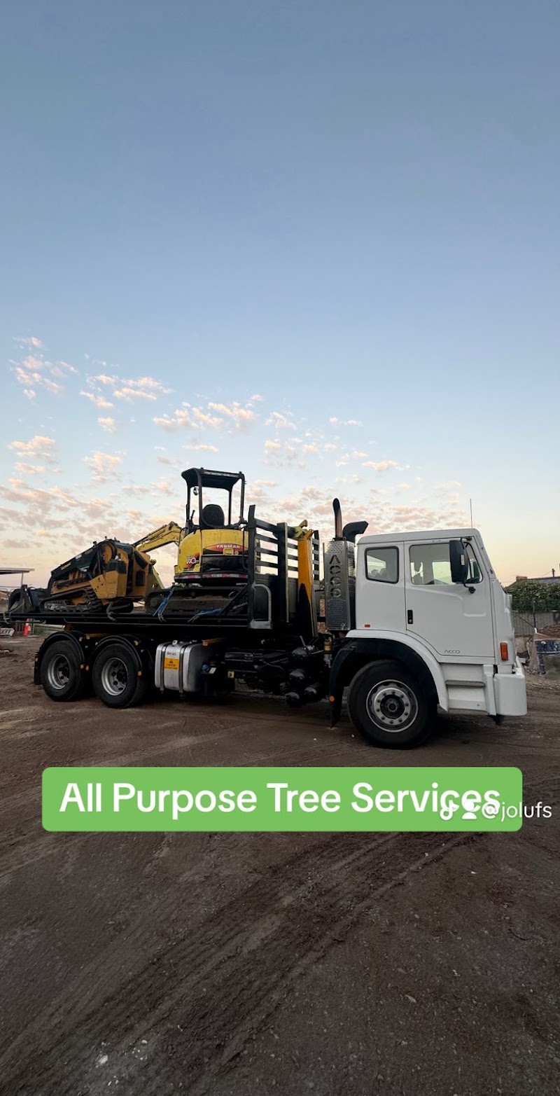 All Purpose Tree Services tree services work in Ottoway