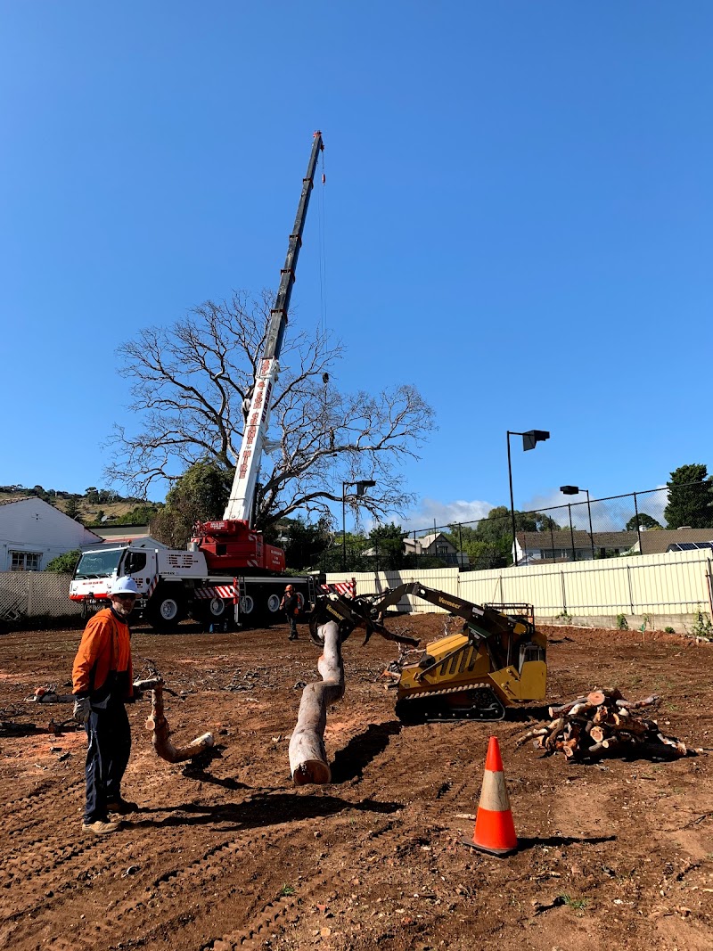 All Purpose Tree Services tree services work in Ottoway