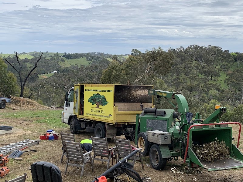 Australian Heritage Tree Works tree services work in Felixstow