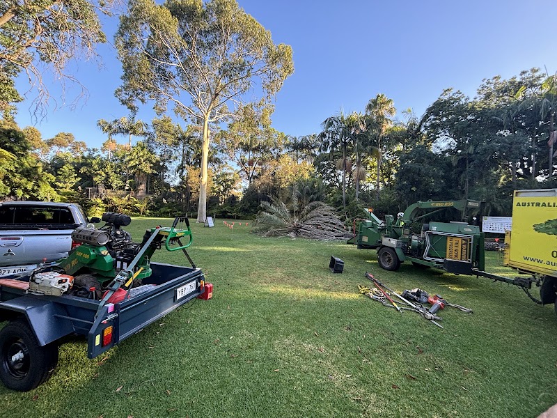 Australian Heritage Tree Works tree services work in Felixstow