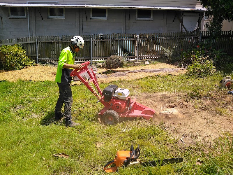 Brisbane Trees and Gardens tree services work in Archerfield