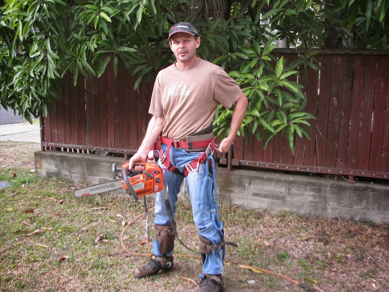 Brisbane Trees and Gardens tree services work in Archerfield