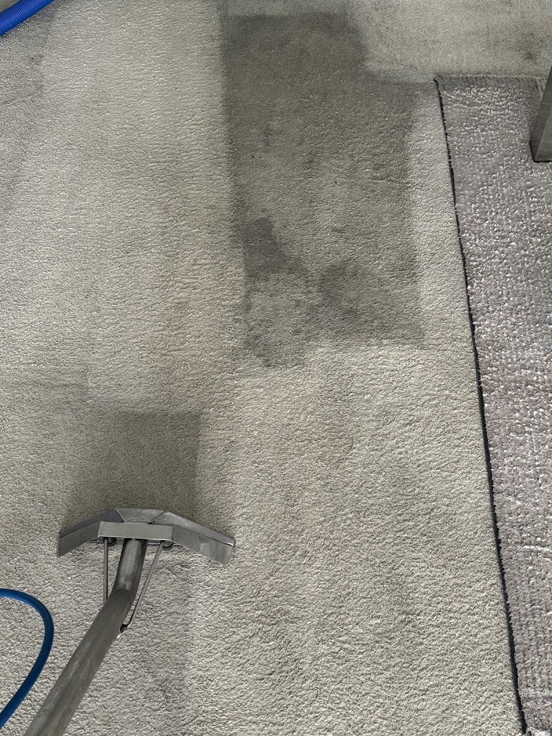 Broadbeach Carpet Cleaning