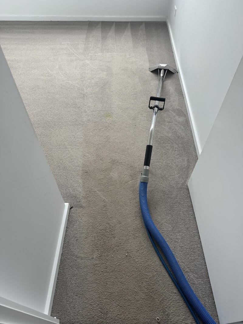 Broadbeach Carpet Cleaning carpet cleaning work in Broadbeach