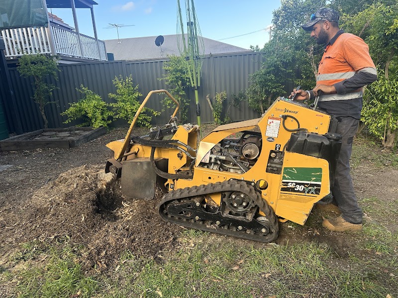Budget Tree Removal tree services work in Virginia