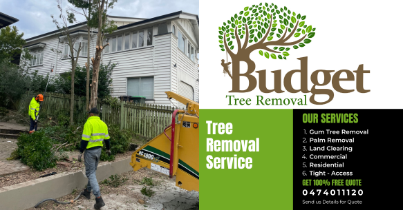 Budget Tree Removal tree services work in Virginia