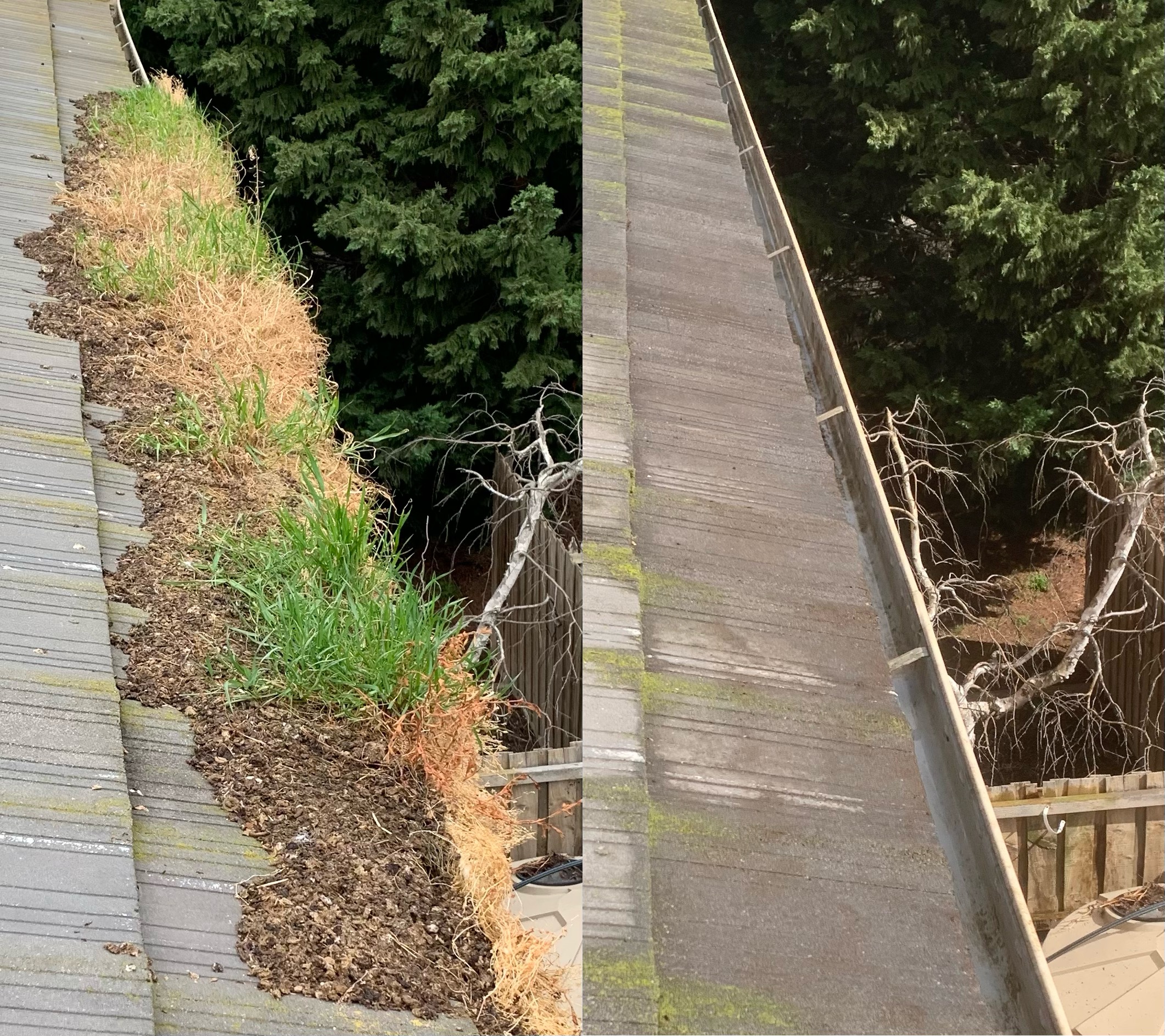 Mavericks Window and Gutter Cleaning photo