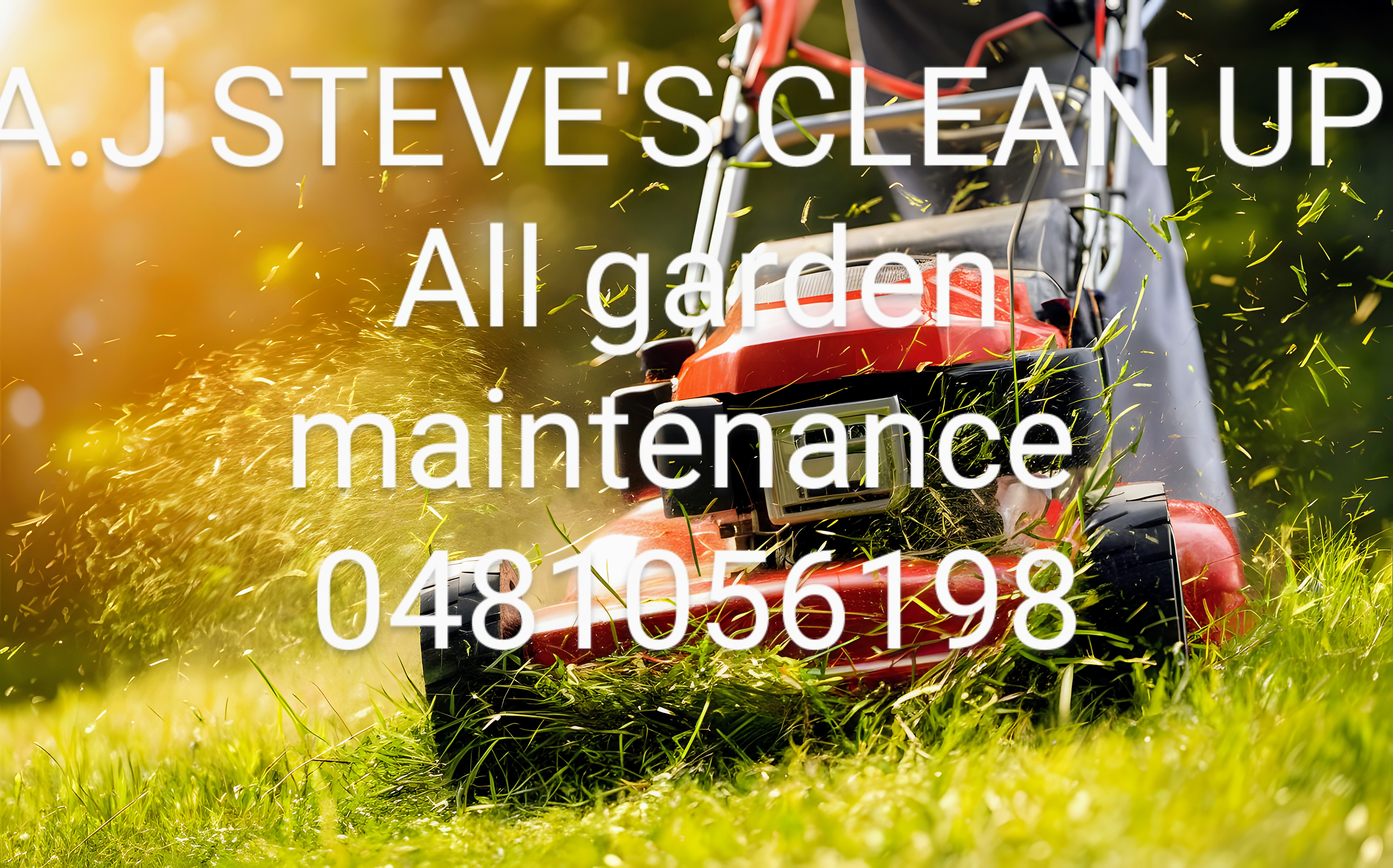 A.J STEVE'S CLEAN UP photo