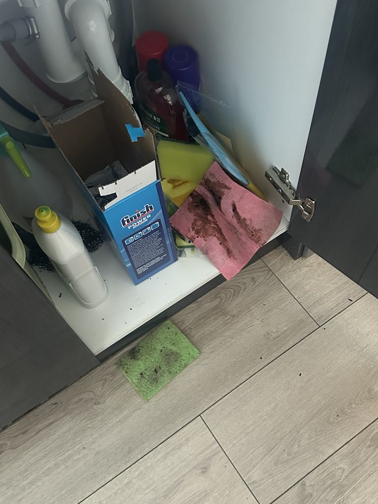 Calibre Cleaning - House Cleaning Adelaide cleaning work in Adelaide