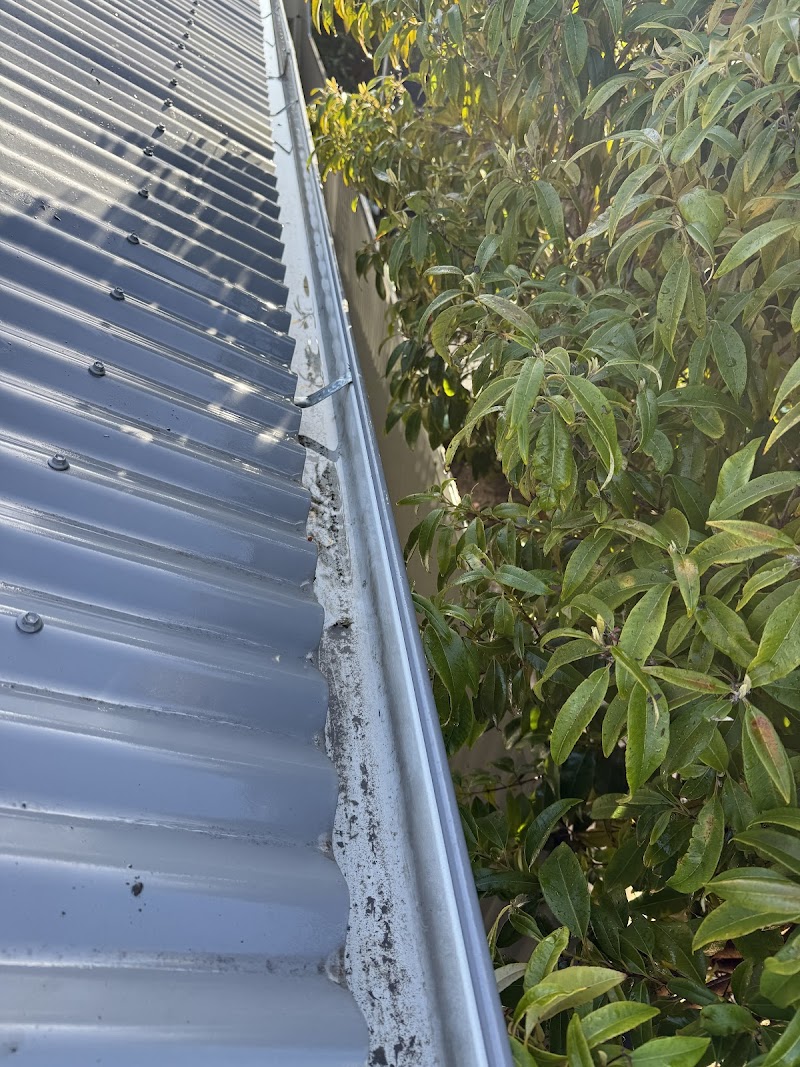 Calibre Exterior Cleaning pressure washing work in Prospect