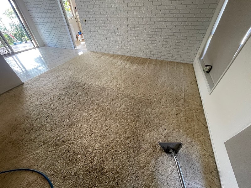 Carpet Ninja and Pest Control Gold Coast