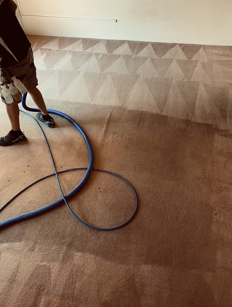 Complete Carpet & Upholstery Cleaning carpet cleaning work in Mermaid Waters