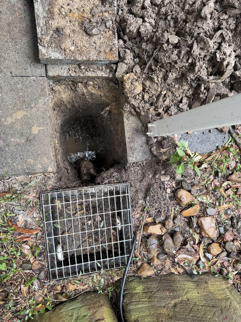 Complete Plumbing Qld plumber work in Bundall