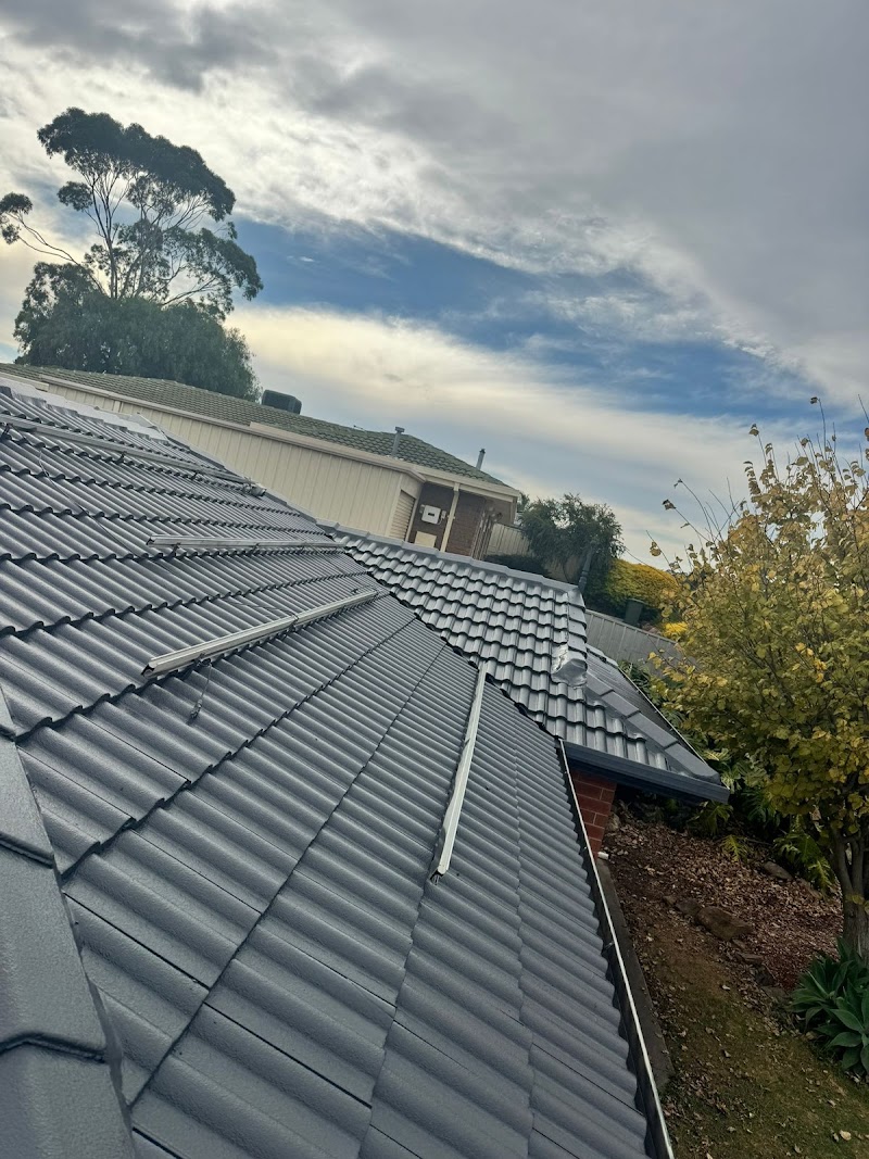 Dolphin Roofing Adelaide - Roof Leak Repairs & Restoration