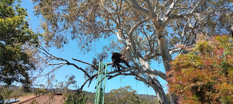 Final Cut Tree Solutions tree services work in Happy Valley