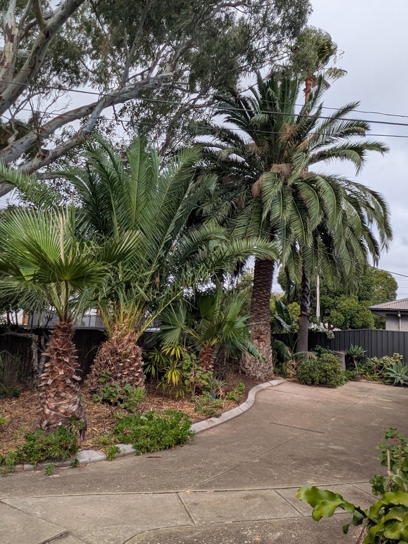 Final Cut Tree Solutions tree services work in Happy Valley