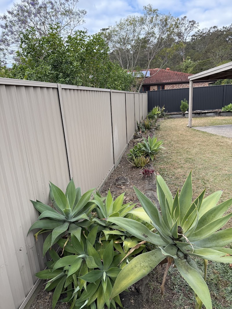 Growth Lawn and Garden gardening work in Parkwood