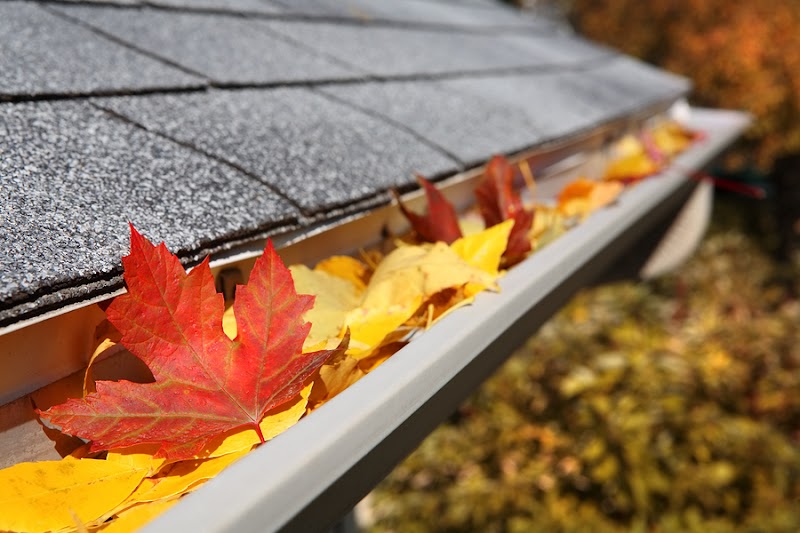 GUTTER GLASS & SOLAR gutter cleaning work in Adelaide