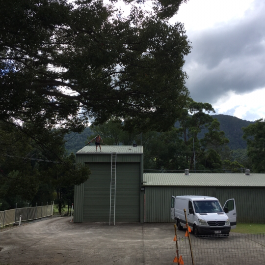 JC Gutter Cleaning gutter cleaning work in Elanora