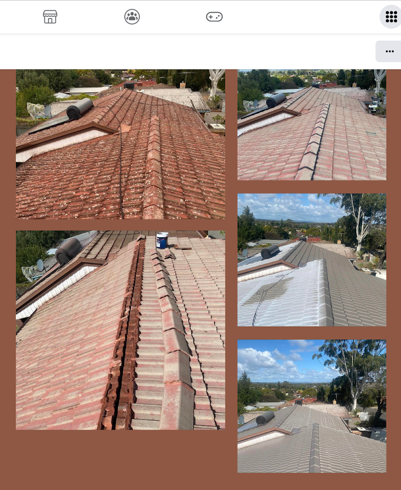 Master Roofing Adelaide - Roof Repairs & Restoration Specialist in Adelaide roofing work in Clovelly Park