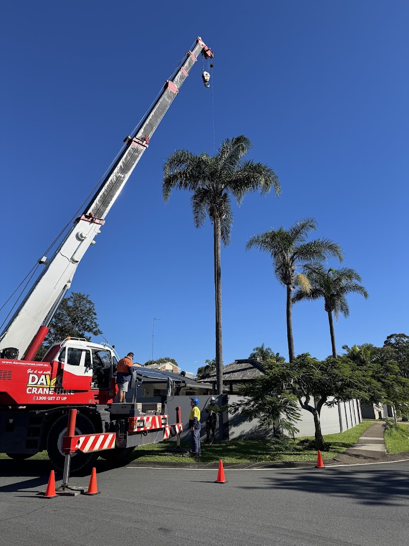 Mick Brewer Tree Services tree services work in Molendinar