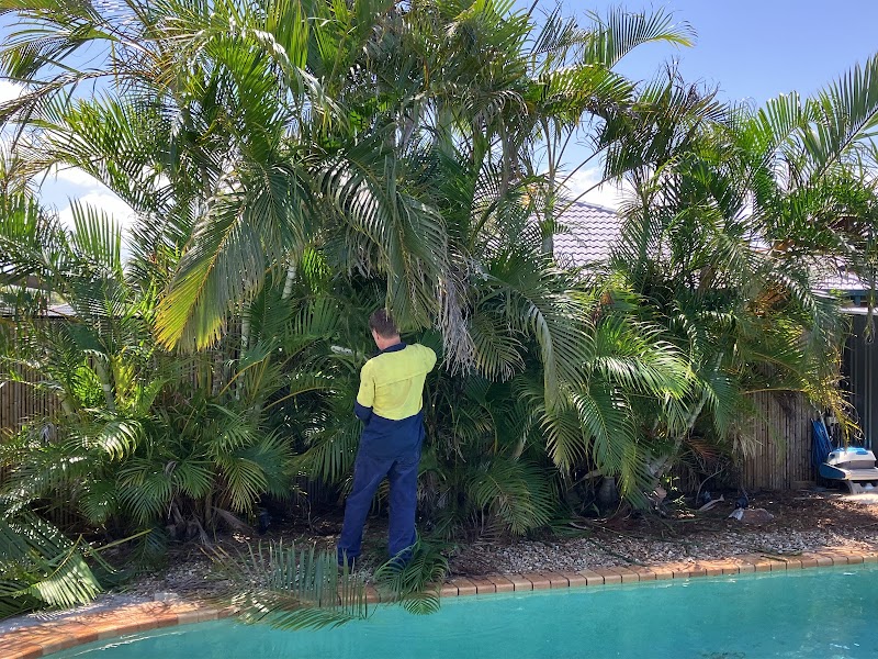 Mick Brewer Tree Services tree services work in Molendinar