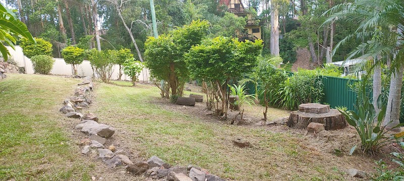 Mint Tree Services tree services work in Miami