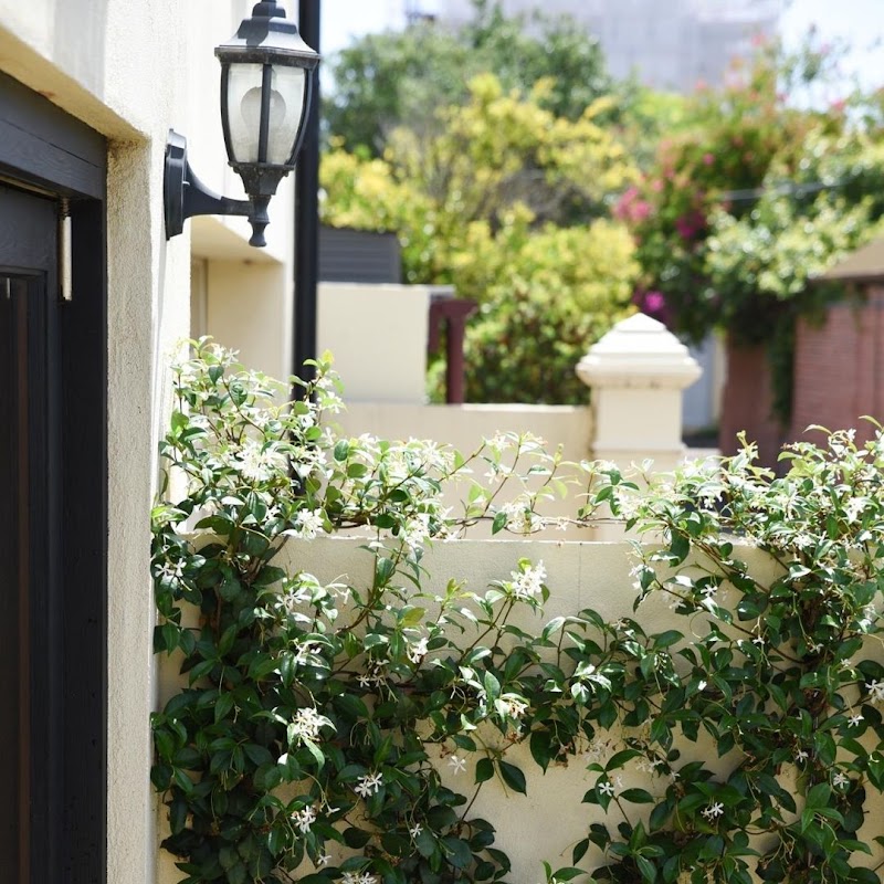 Mr B's Landscaping and Garden Care gardening work in Adelaide