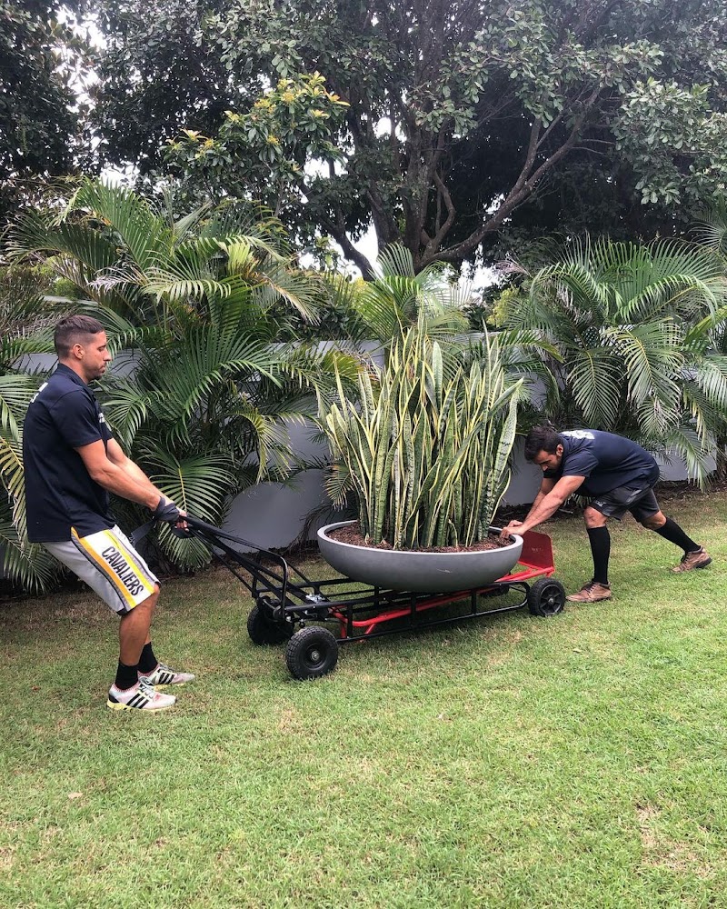 Premium Gold Coast Removals removalist work in Surfers Paradise