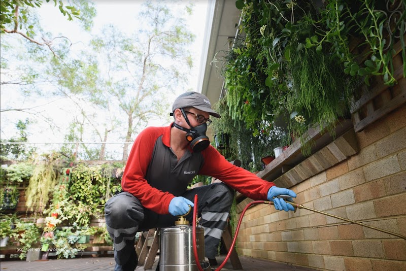 Rentokil Pest Control Adelaide pest control work in Regency Park