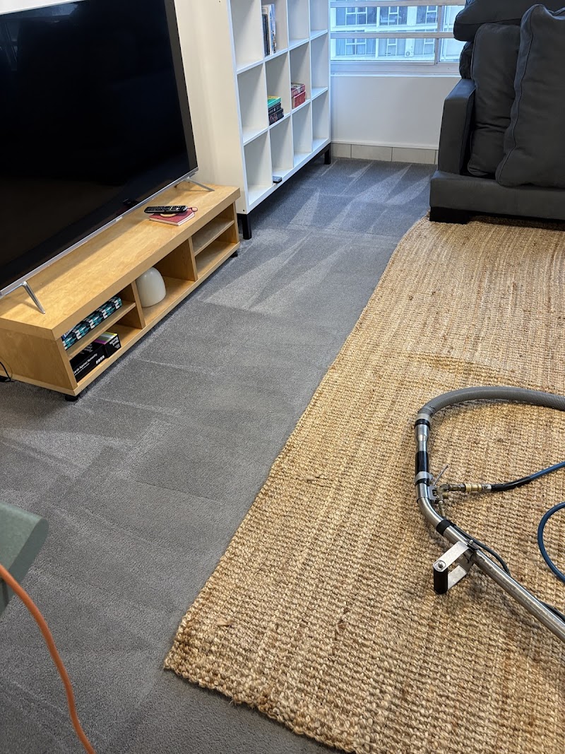 Stain Solutions Carpet Cleaning Gold Coast carpet cleaning work in Ashmore