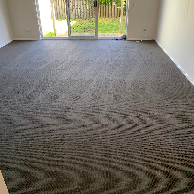 Steam and Dryclean | Carpet Cleaning Services
