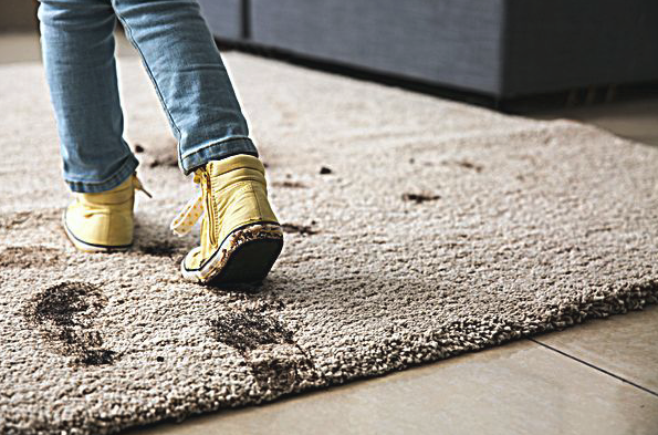 Steam and Dryclean | Carpet Cleaning Services carpet cleaning work in Broadbeach