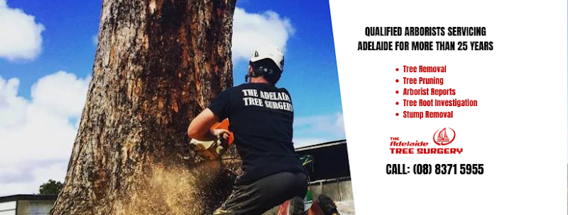 The Adelaide Tree Surgery