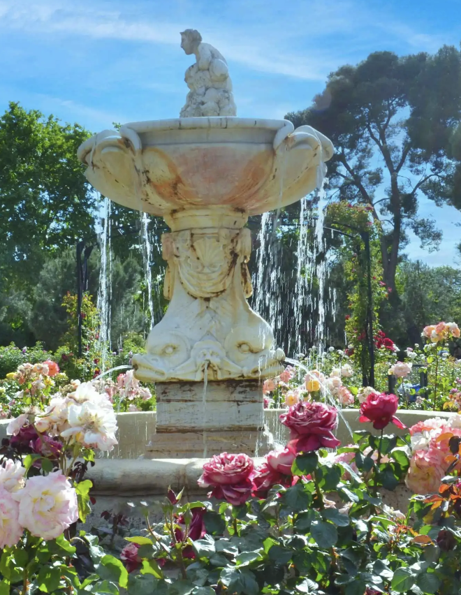 The Gardener & Co. gardening work in Palm Beach