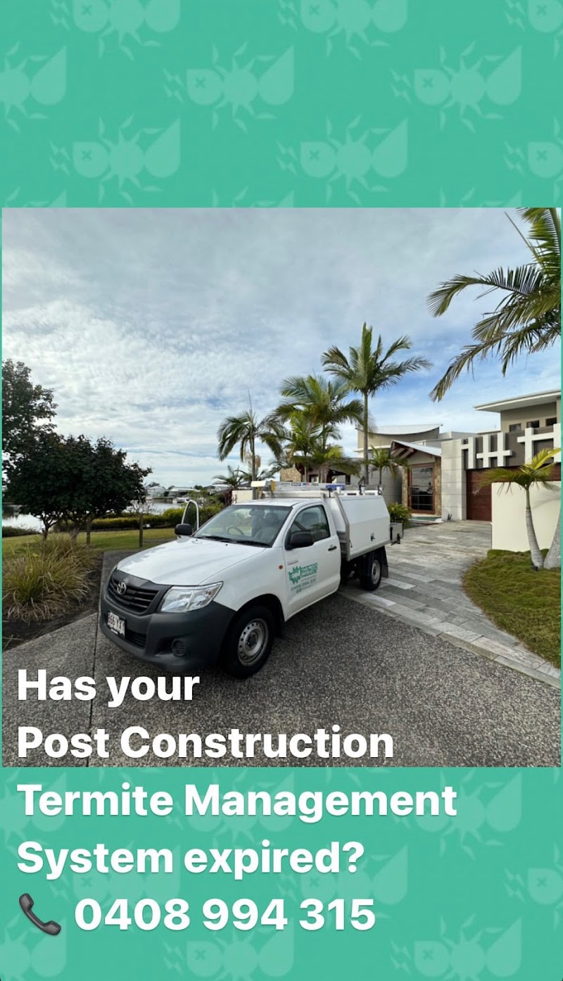 The Pest Project pest control work in Woolloongabba