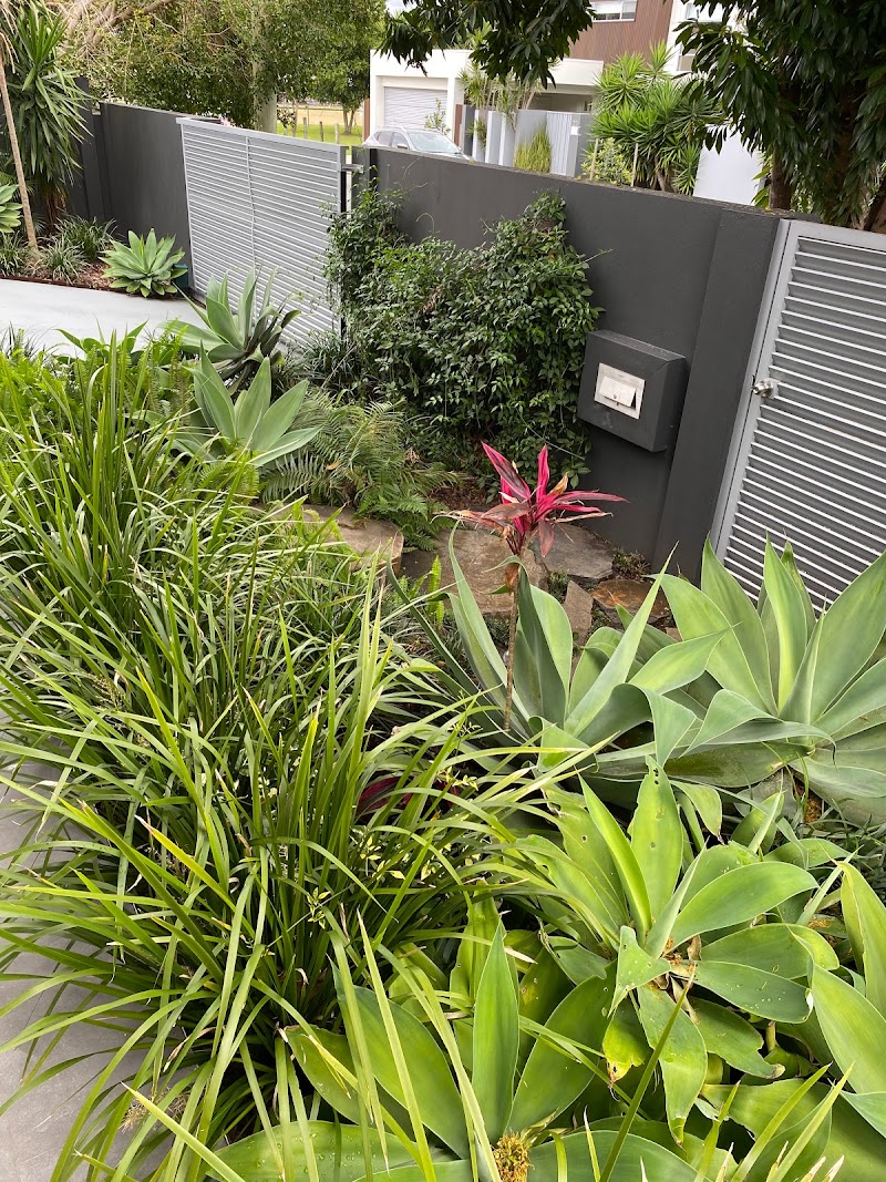 Tony's Lawn and Garden Maintenance gardening work in Surfers Paradise