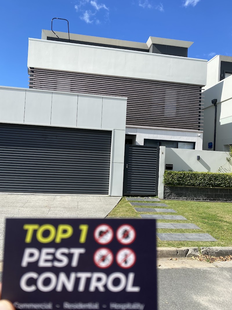 Top 1 Pest Control Pty Ltd pest control work in Surfers Paradise