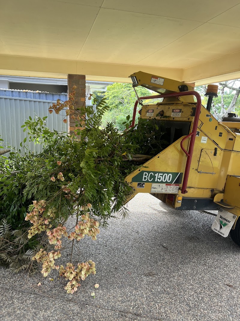 Tree Lopping Gold Coast tree services work in Upper Coomera