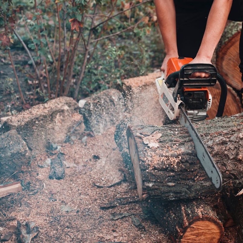 Tree Removals Adelaide