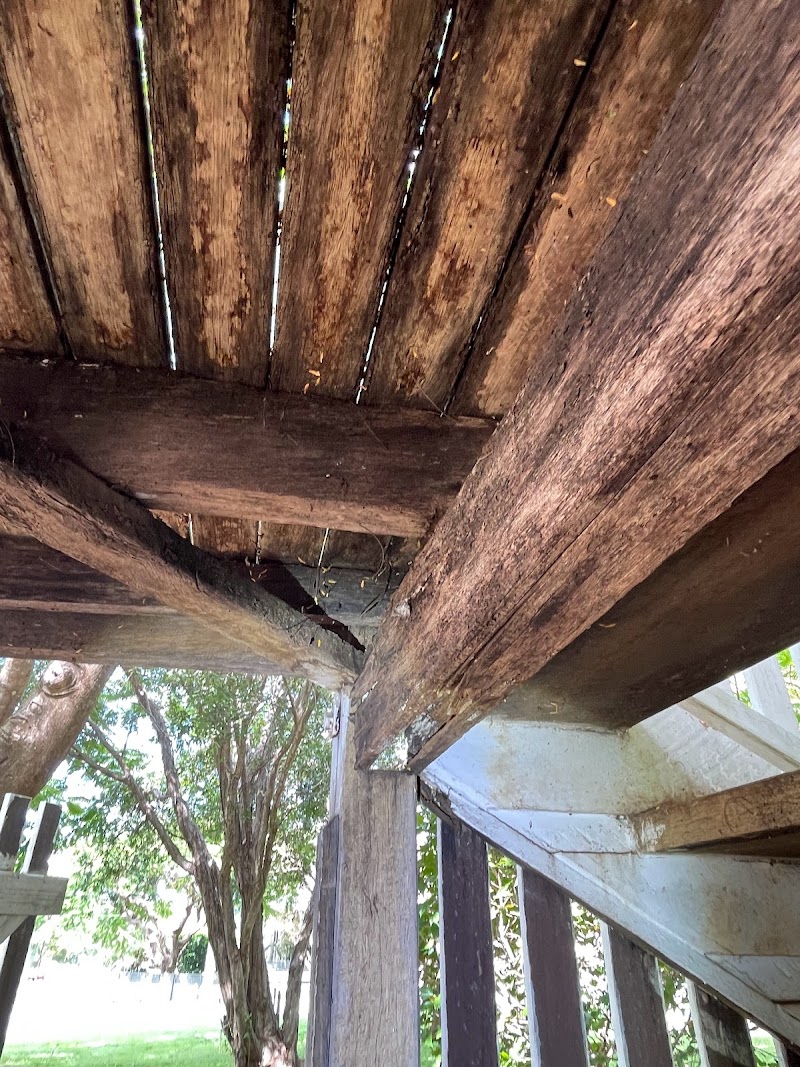 Trusted Pest Management pest control work in Everton Park