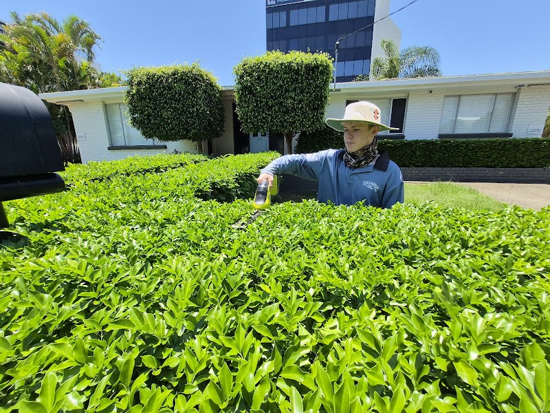 Will’s Lawn Mowing & Trimming Service lawn care work in Bundall